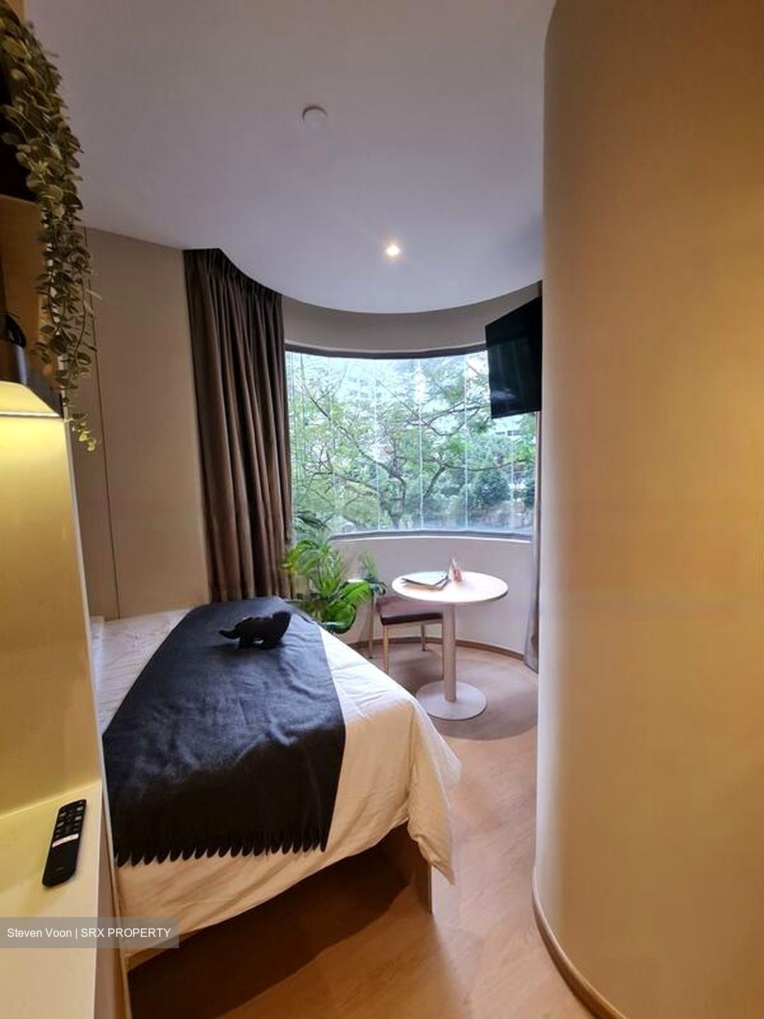 Mount Elizabeth Link (D9), Condominium #459168321